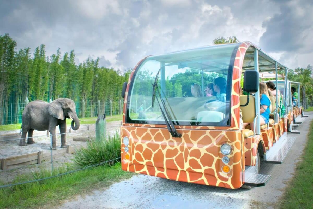 Budget Friendly Sleeps 8 Discounts Available Tampa Eksteriør bilde